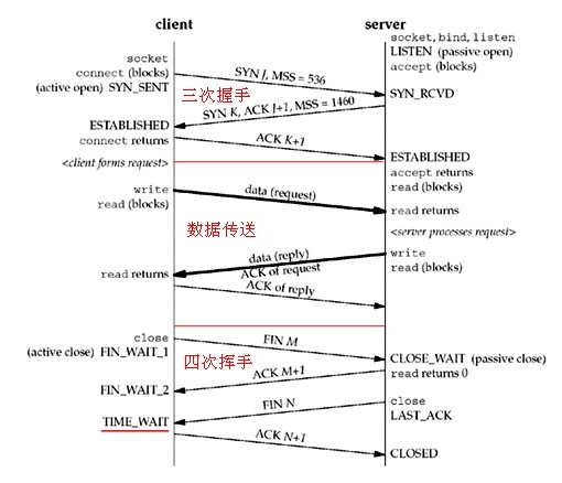 tcp